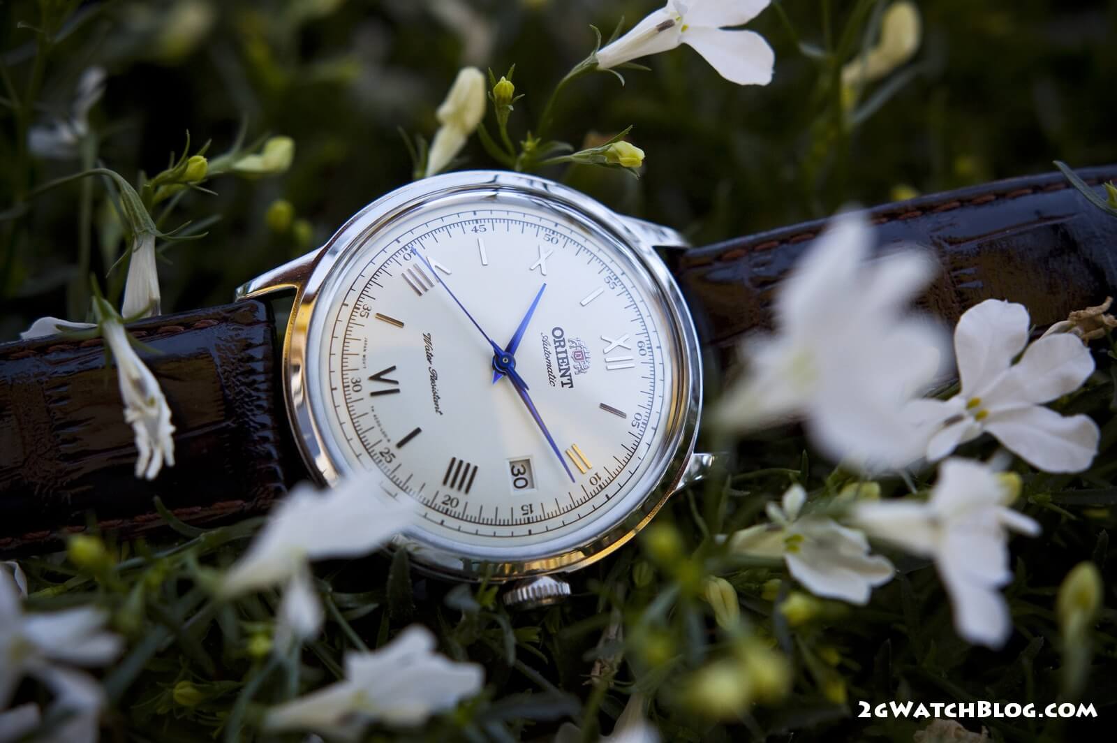 Orient Bambino – why it’s worth to buy it?