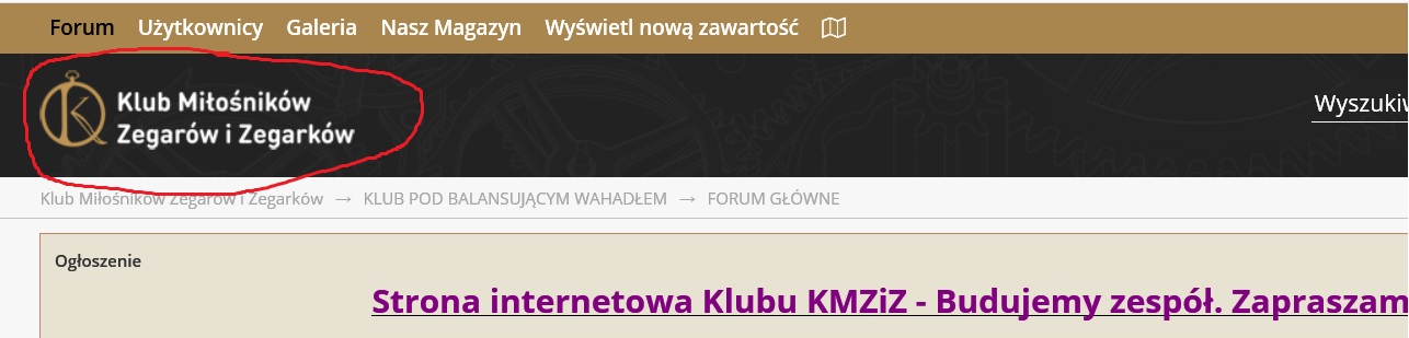 KMZIZ-odsy%C5%82acz.jpg